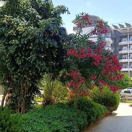 Oba Palace 100 M To The Beach Апартаменты Алания